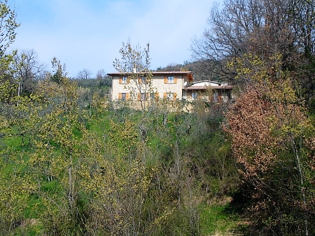 Rustico - Cascina MOMPEO vendita  Mompeo  Esperienza Immobiliare